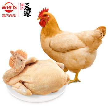 温氏家禽类怎么样美食菜谱——清炖黄油鸡