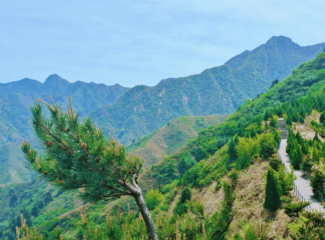 春日登山:赴一场与自然的约会_国内度假
