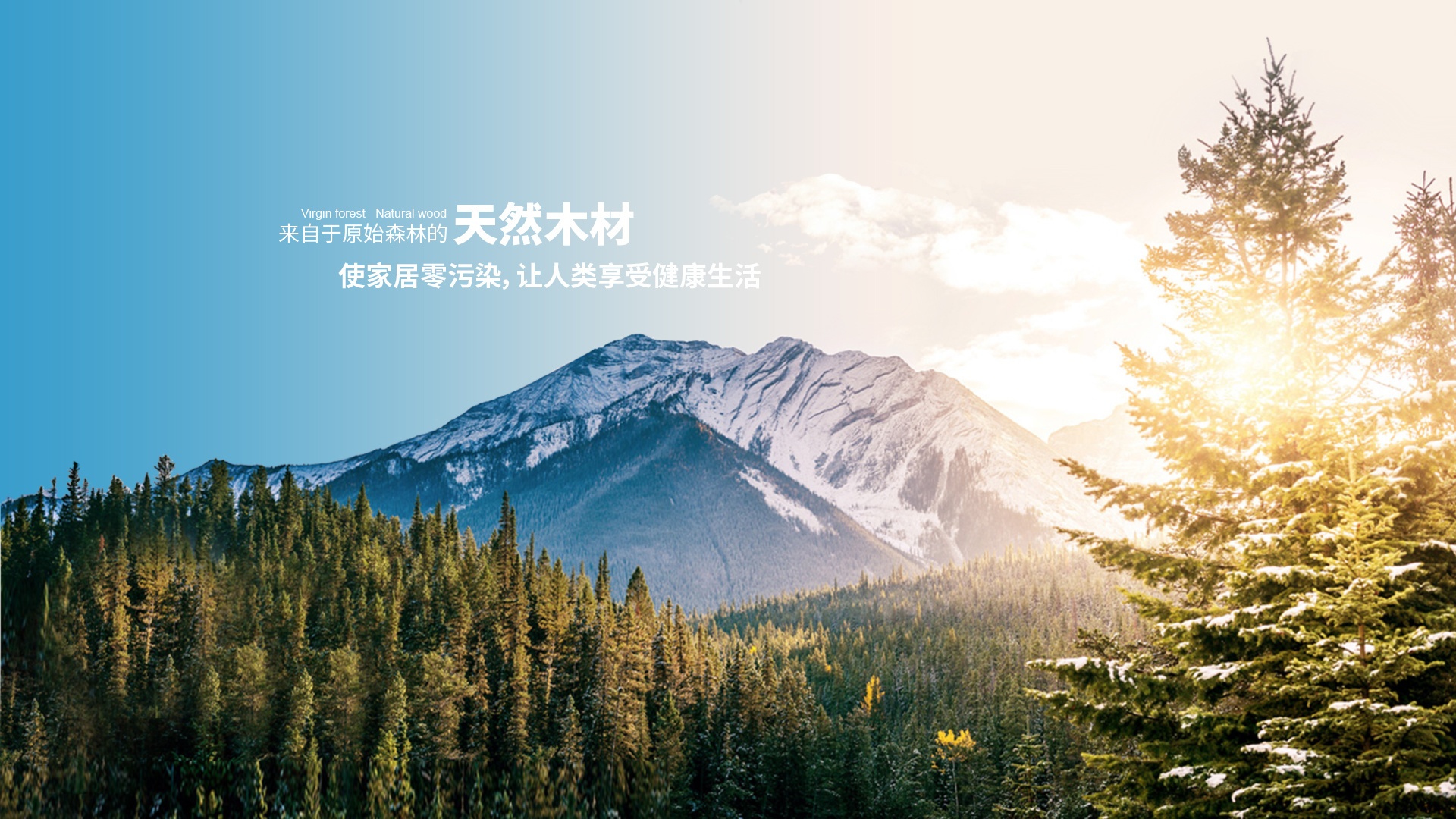 禾木是一种什么木能做家具吗