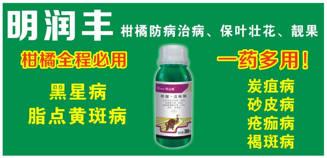 【红蜘蛛软件怎么用】红蜘蛛软件好不好_使用技巧