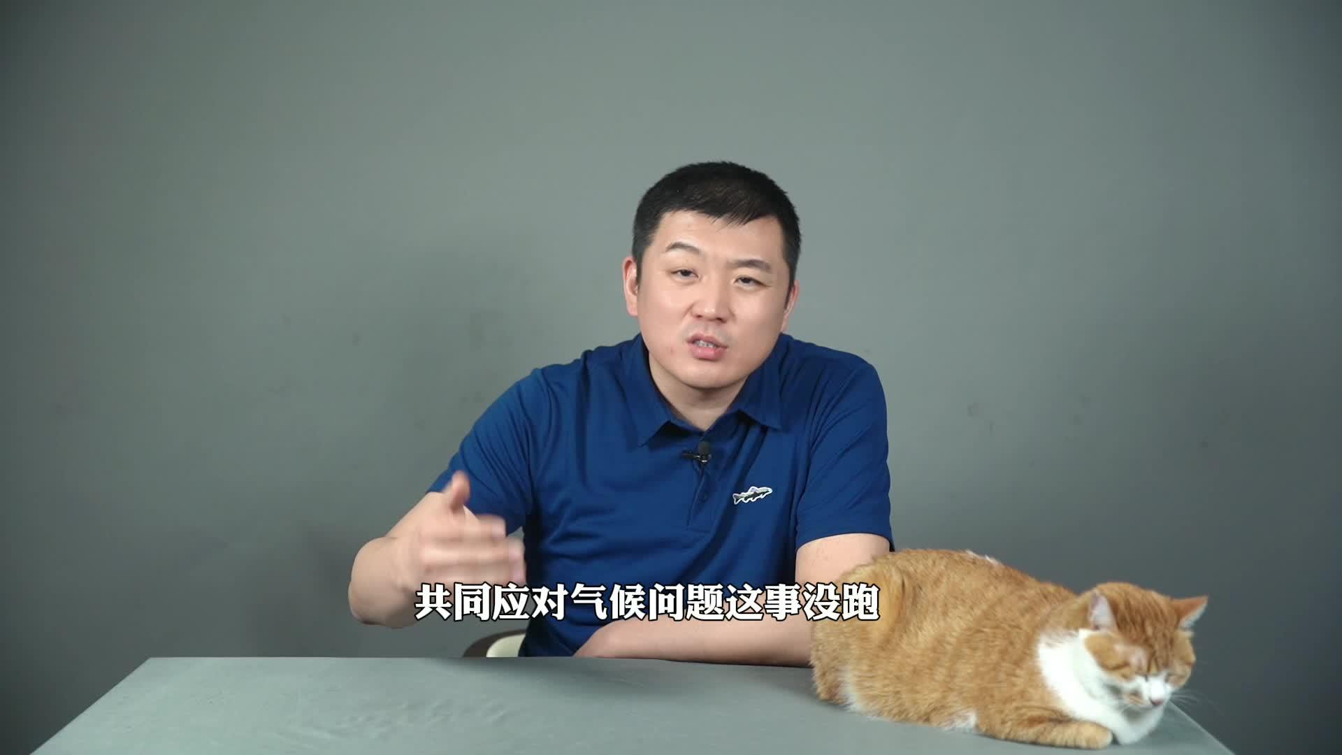 视频网站我乐网关停1月套牢2亿风投_互联网
