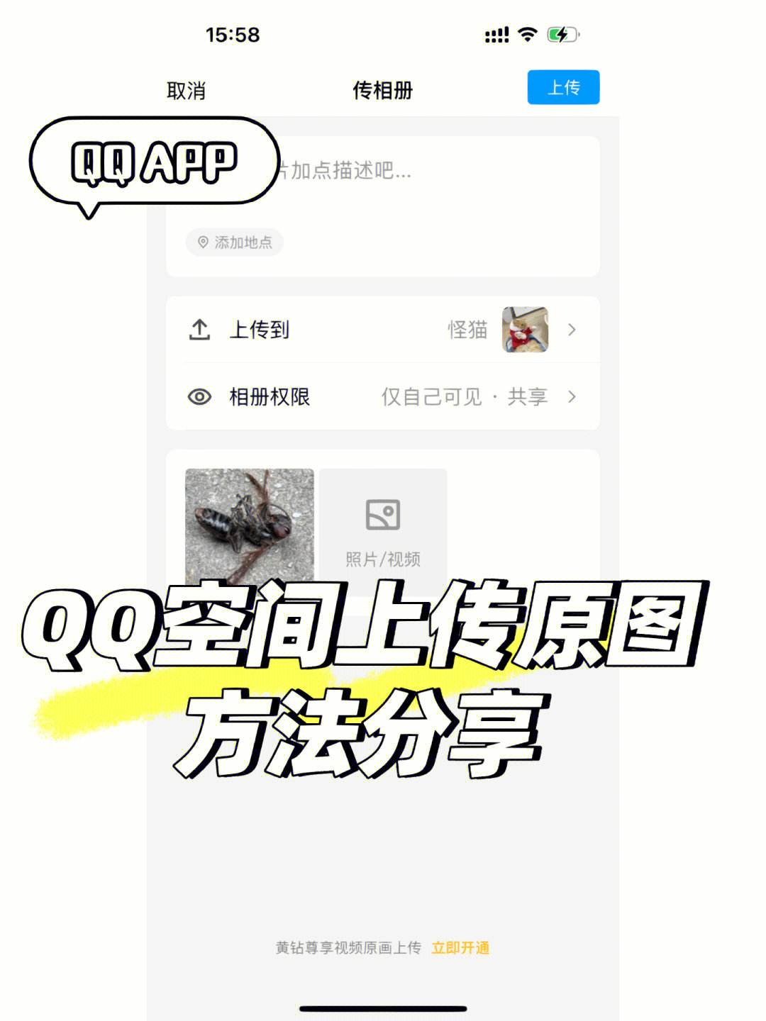 我QQ空间进不了,说被多人举报,无法打开怎么处理