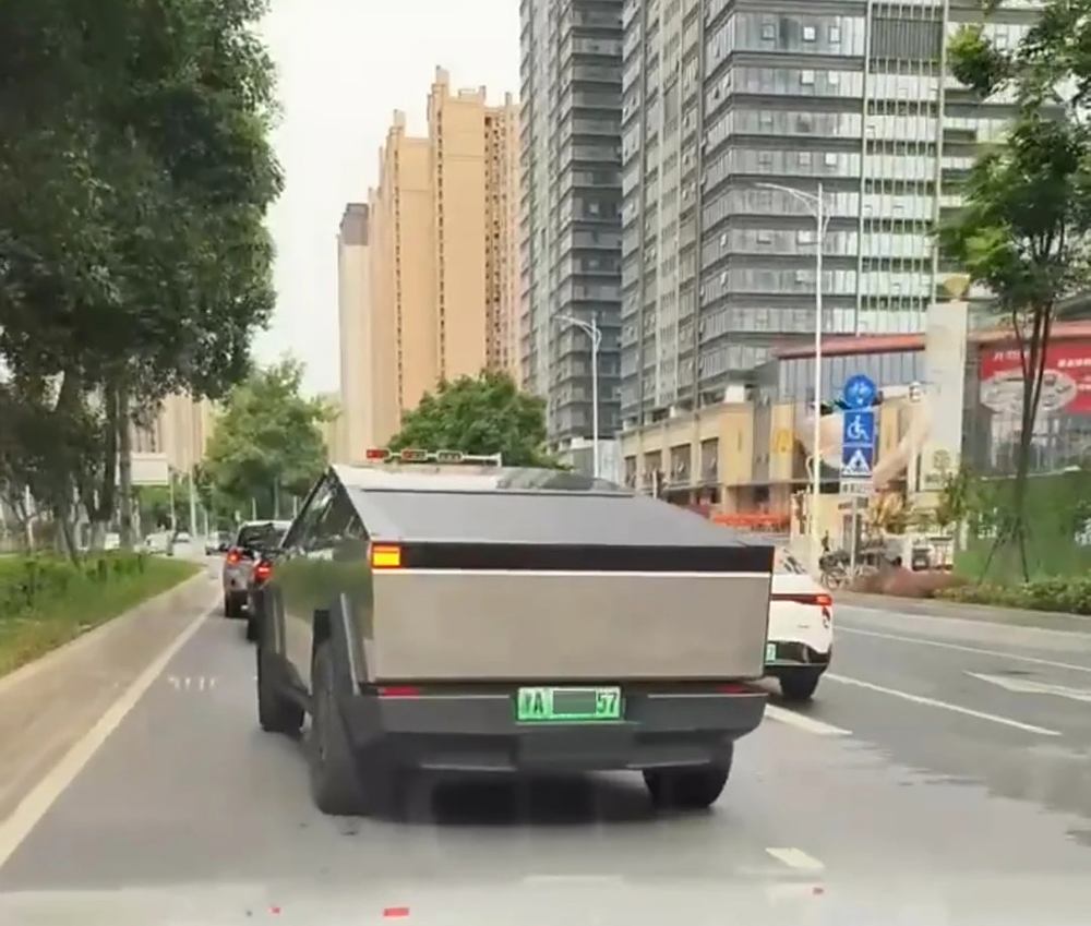 历梓舒