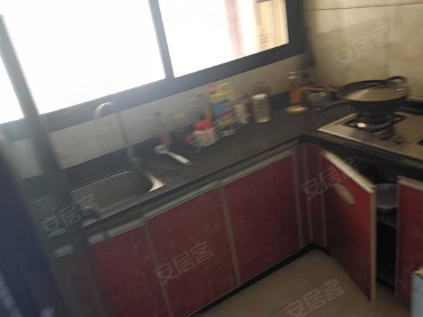 竺闵雨