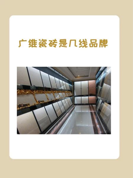 莱斯曼瓷砖是几线品牌啊?