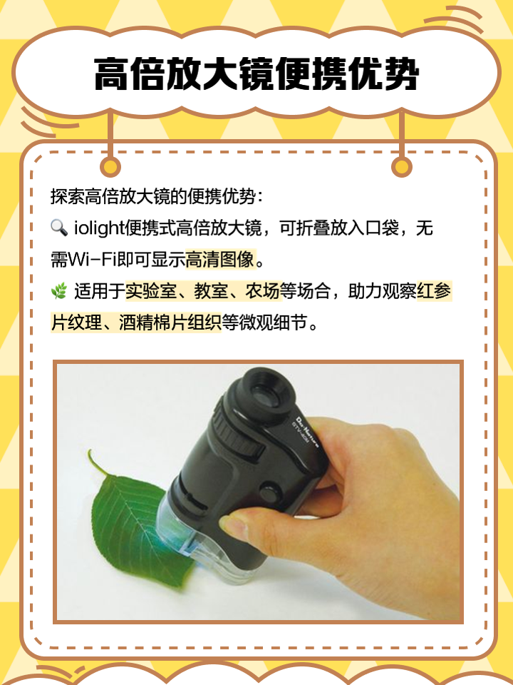 免费在线使用放大镜工具,清晰度高效果好!-软件技巧