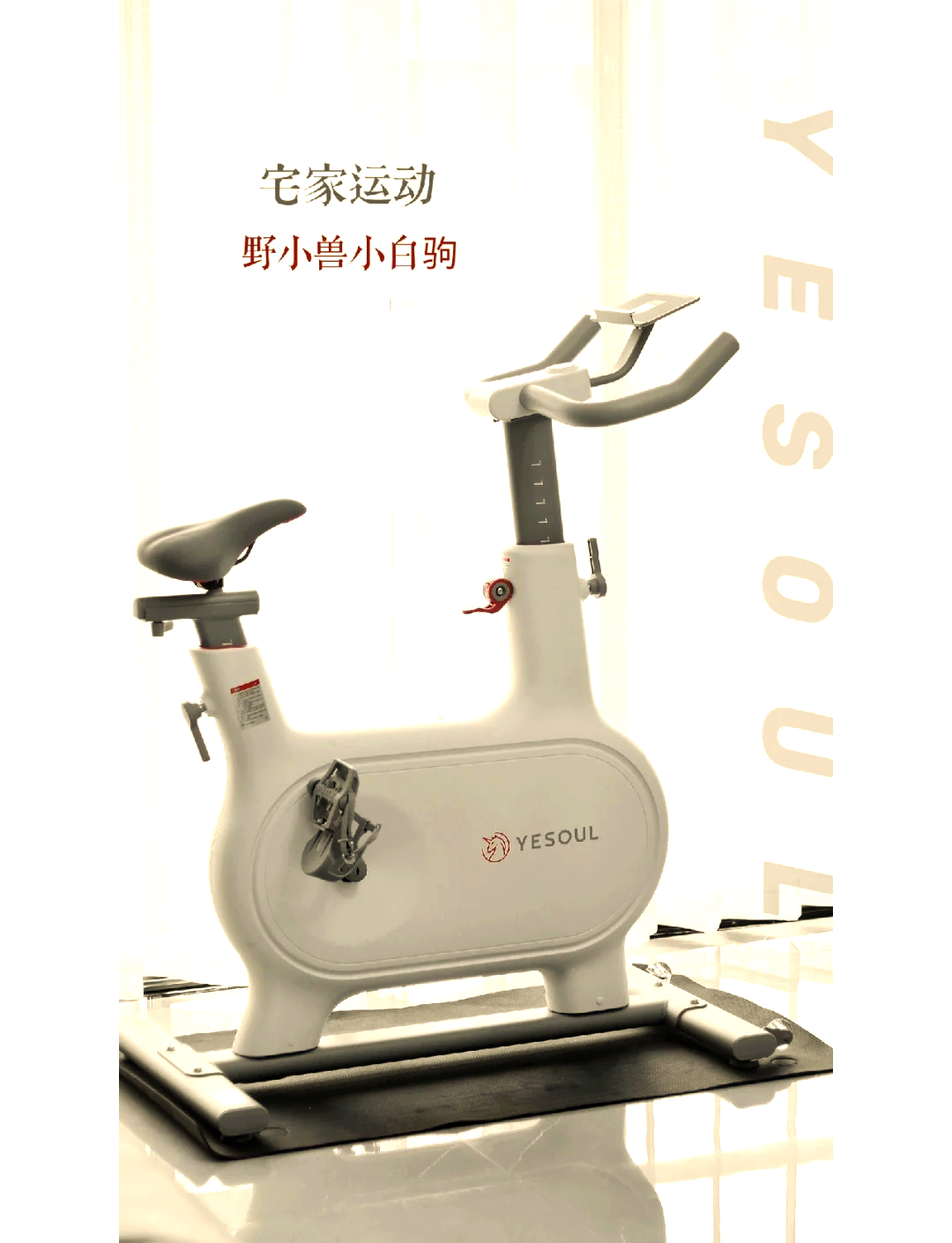 野小兽动感单车京东优惠,原价3499现1999_行情