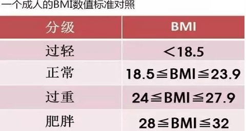【BMI计算器】BMI计算器手机版免费下载