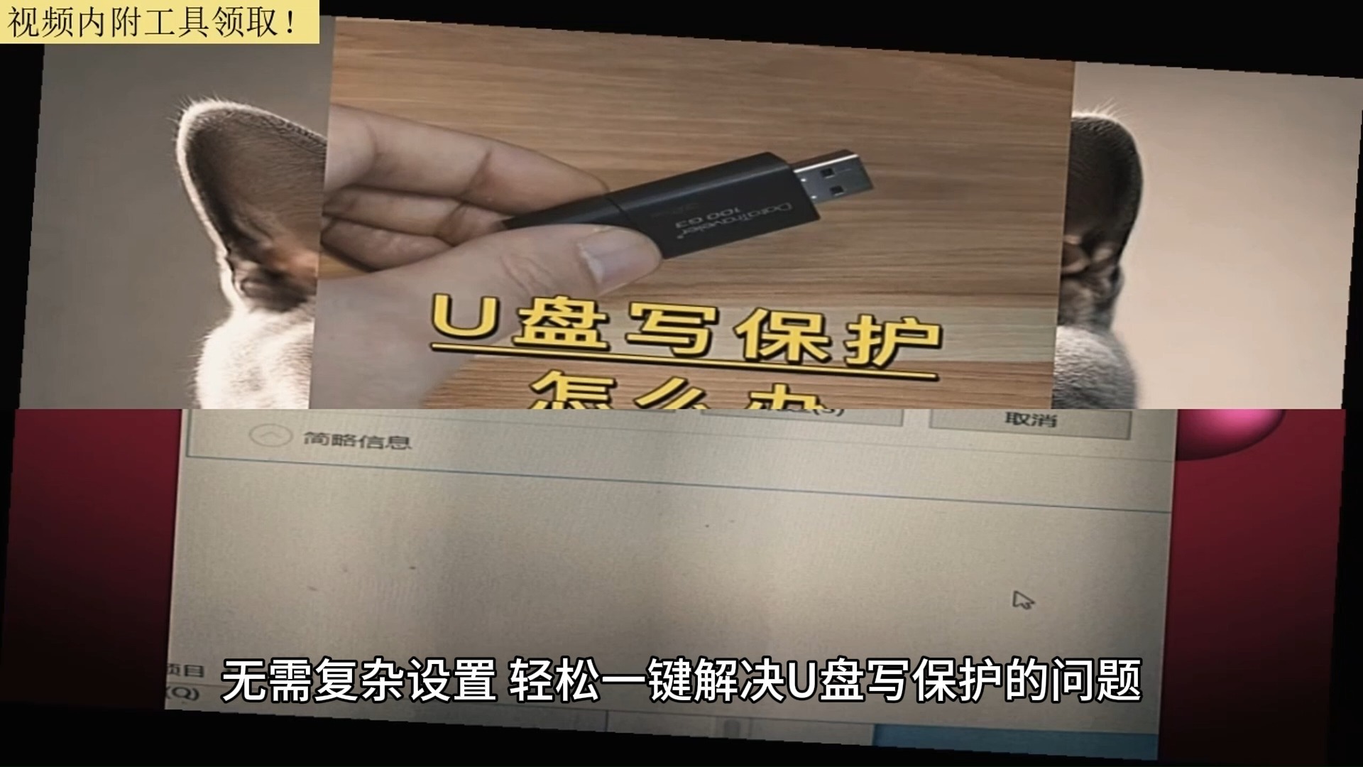 用户青睐的五款U盘量产修复工具推荐-软件技巧