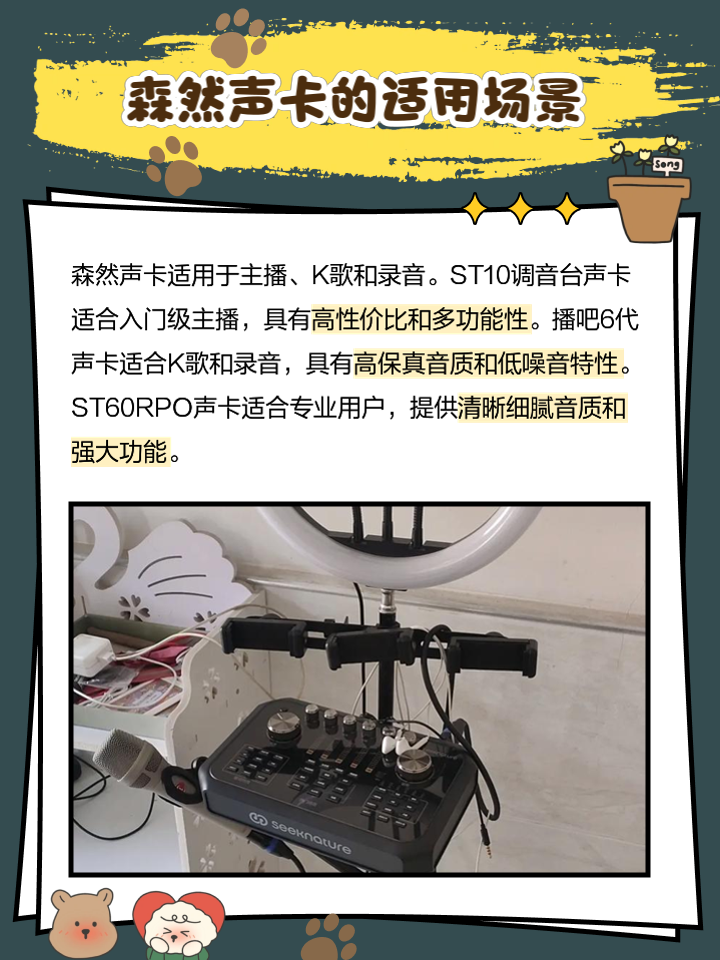 【森然声卡专区】报价评测导购图片(森然)森然声卡大全