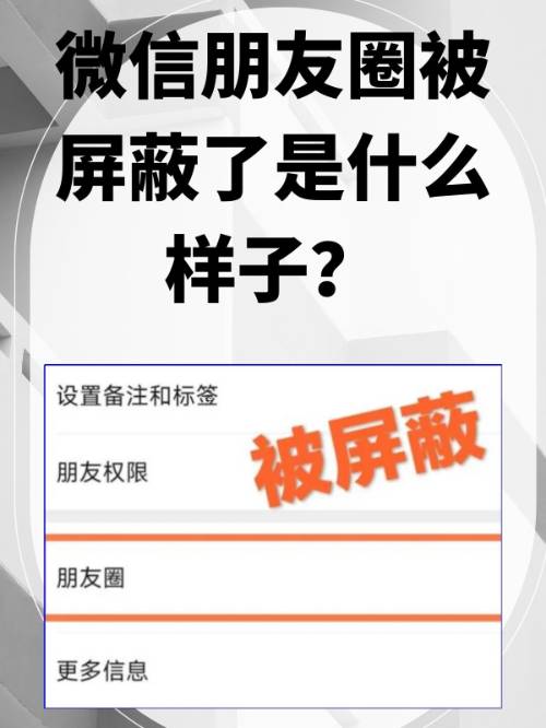 为什么微信没有朋友圈??设置,通用里头也没有?