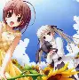【缘之空下载】缘之空TV版_安卓电视版官方免费下载