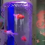 【鱼缸计算器】鱼缸计算器1.01绿色免费版
