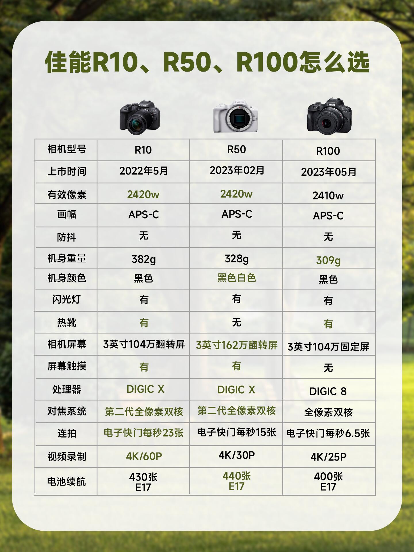 2025年6月13日 第50页