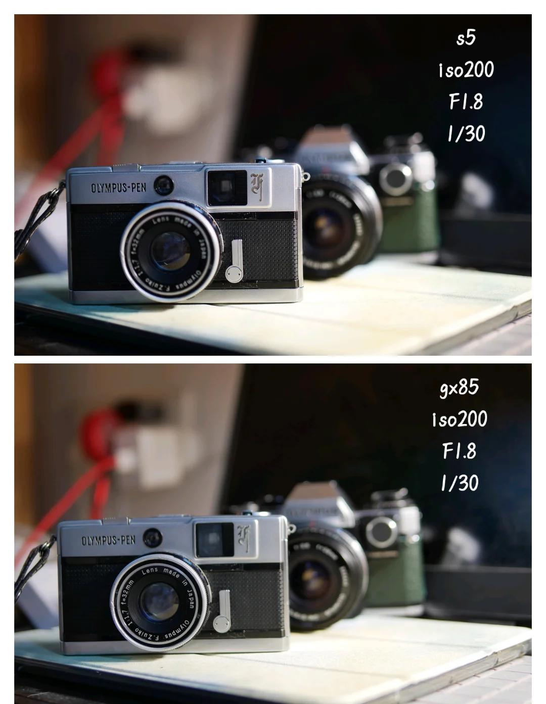 松下LumixS5和佳能EOSR8综合对比