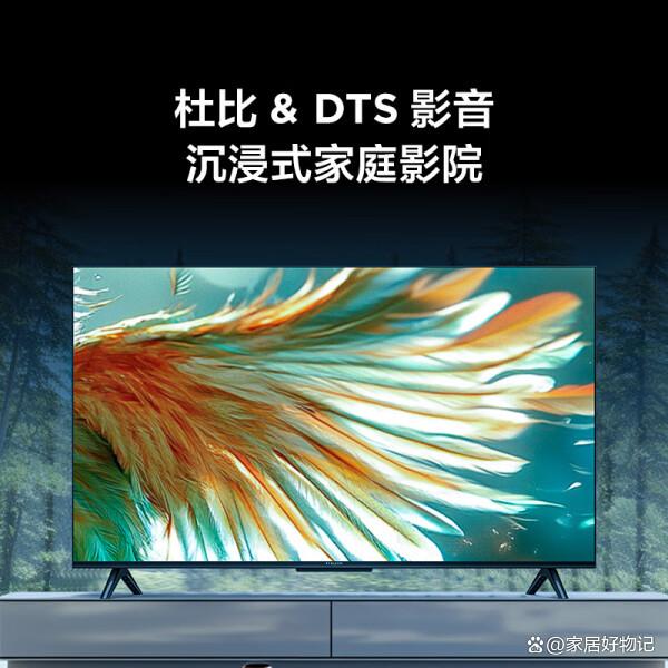 鹿婷然