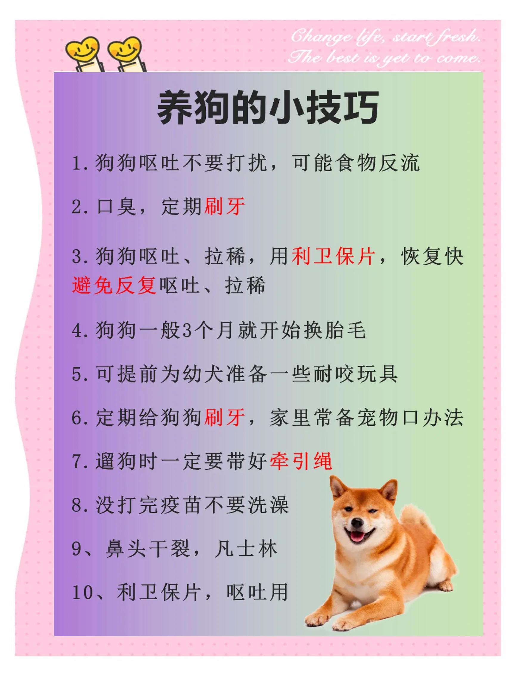 【烧狗刻录怎么用】烧狗刻录好不好_使用技巧