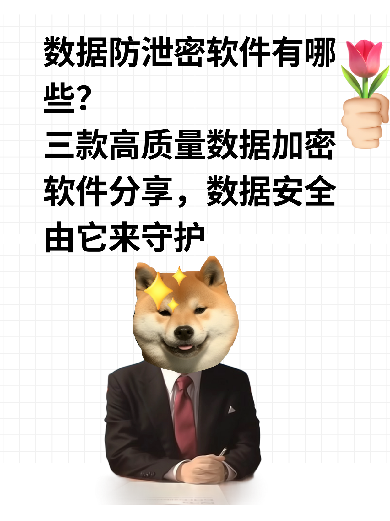 2024年十款必备的加密解密软件:保护你的数据安全