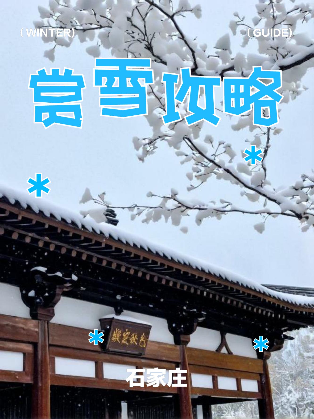 下雪了。石家庄下的雪。比京城的要大。摄影论坛