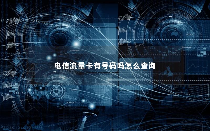 电信查话费流量肿么查?短信查询号码是什么?
