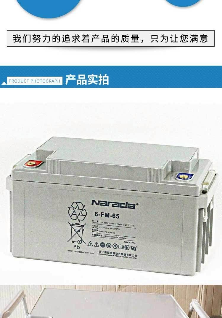 复华铅酸蓄电池6-GFM-10012V100AH原装