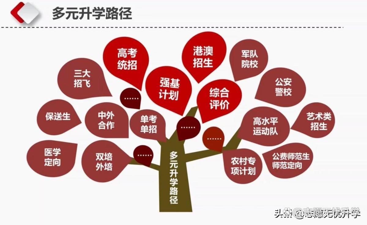 解码广东企业出海多元路径,依托口岸资源开拓全球市场