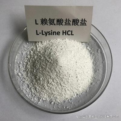 盐酸特布他林CAS:23031-25-6原料定制发货