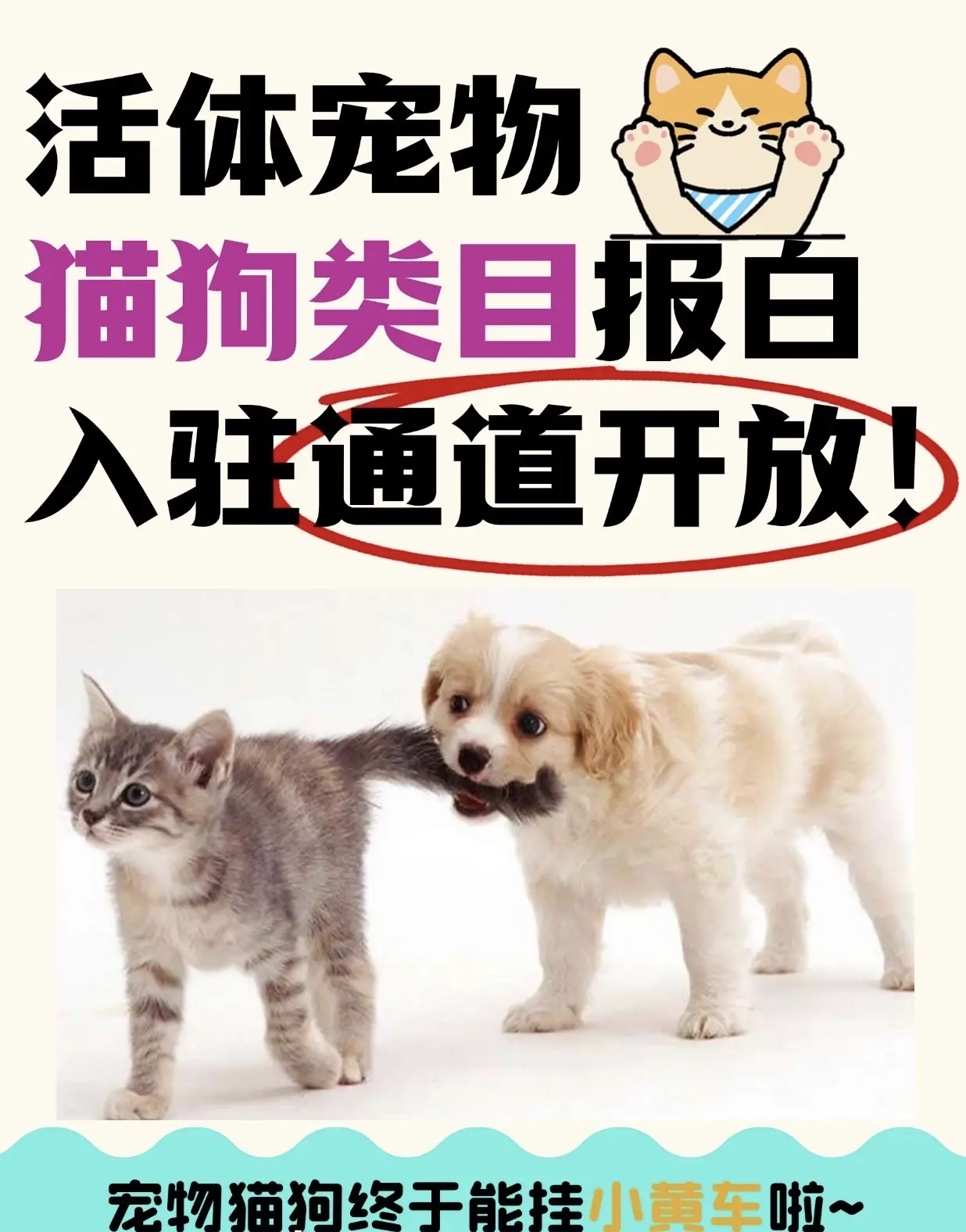 抖音宠物用品报白价格贵吗?报白代开要注意什么?