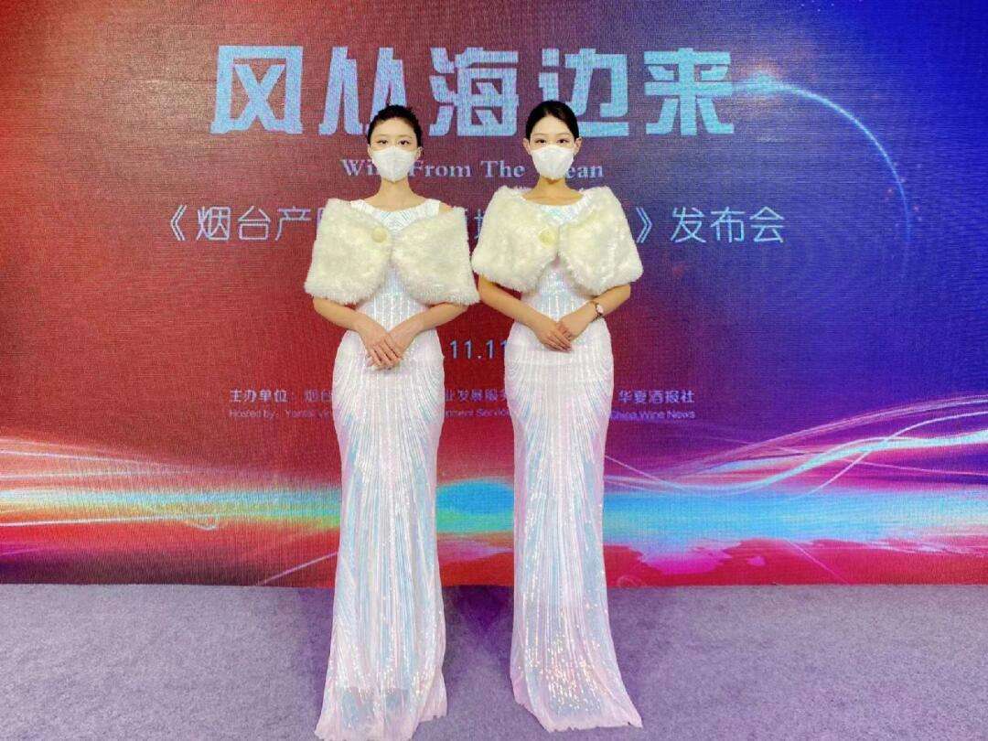 舞台礼仪模特礼仪模特走秀提供各种活动的礼仪小姐