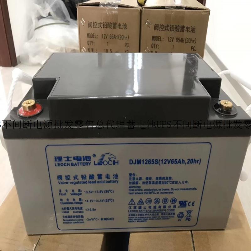 理士LEOCH蓄电池DJM1265/12v65ah直流屏UPS电池