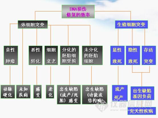 什么是细胞毒性试验?细胞毒性检测具体包括哪些内容?