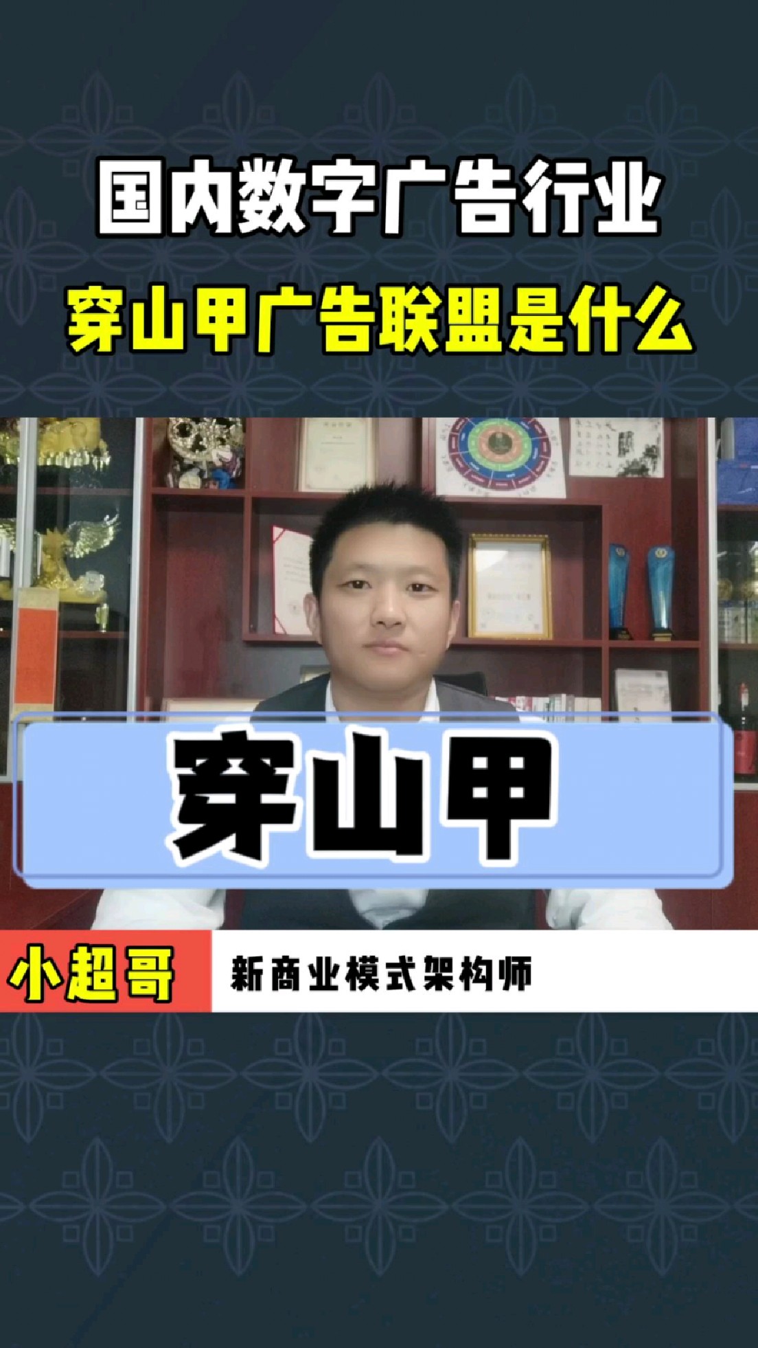 什么是穿山甲广告?广告联盟搭建看广告赚钱的软件