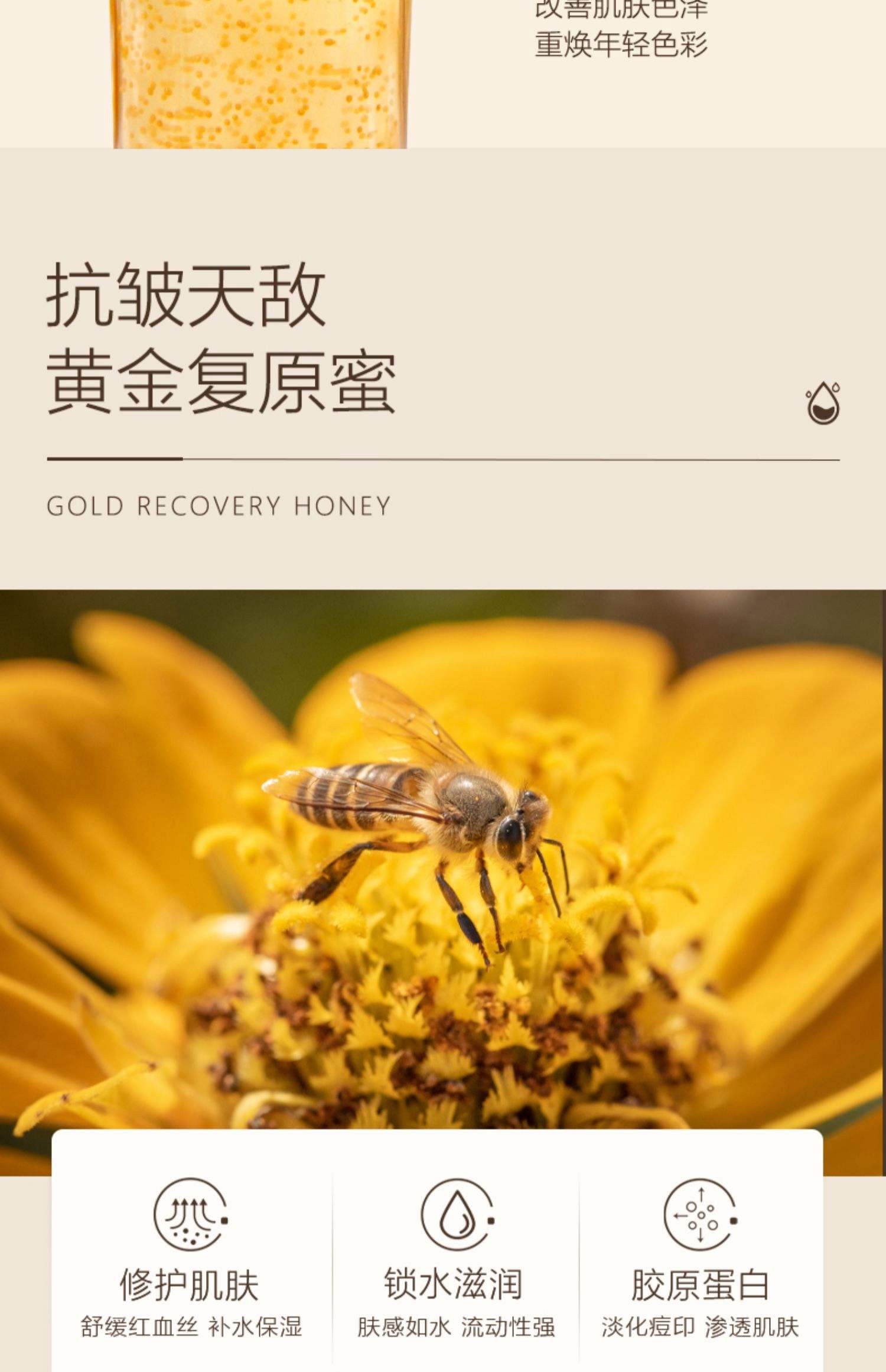 蜂产品加盟、代理/蜂蜜专卖/免加盟费、圣贝特