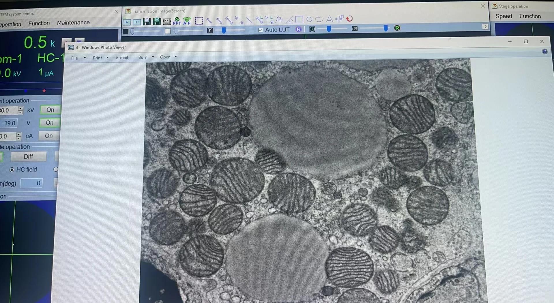 扫描电镜(SEM)和透射电镜(TEM)的区别有哪些?