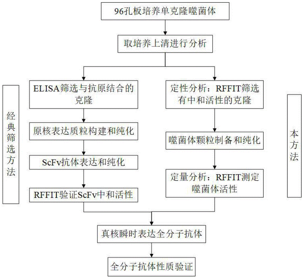 什么是中和性抗体?中和性抗体试剂盒怎么办理法国白名单?