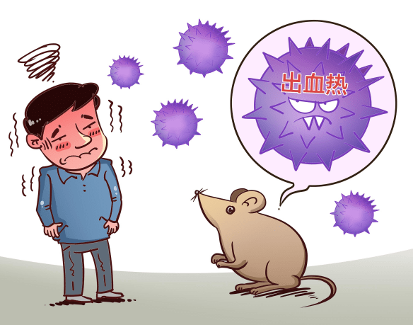 杭州百灵鸟分享:传播出血热疾病的黑线姬鼠防治方法
