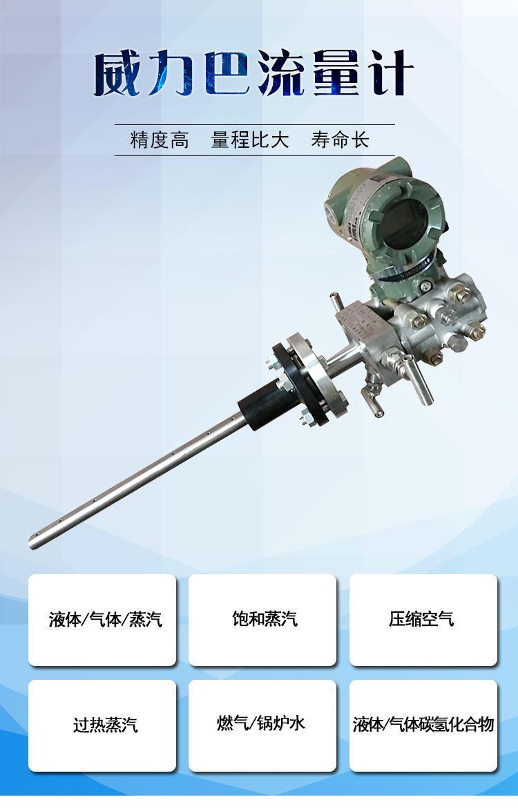 威力巴流量计流量计供应威力巴流量计国产威力巴流量计