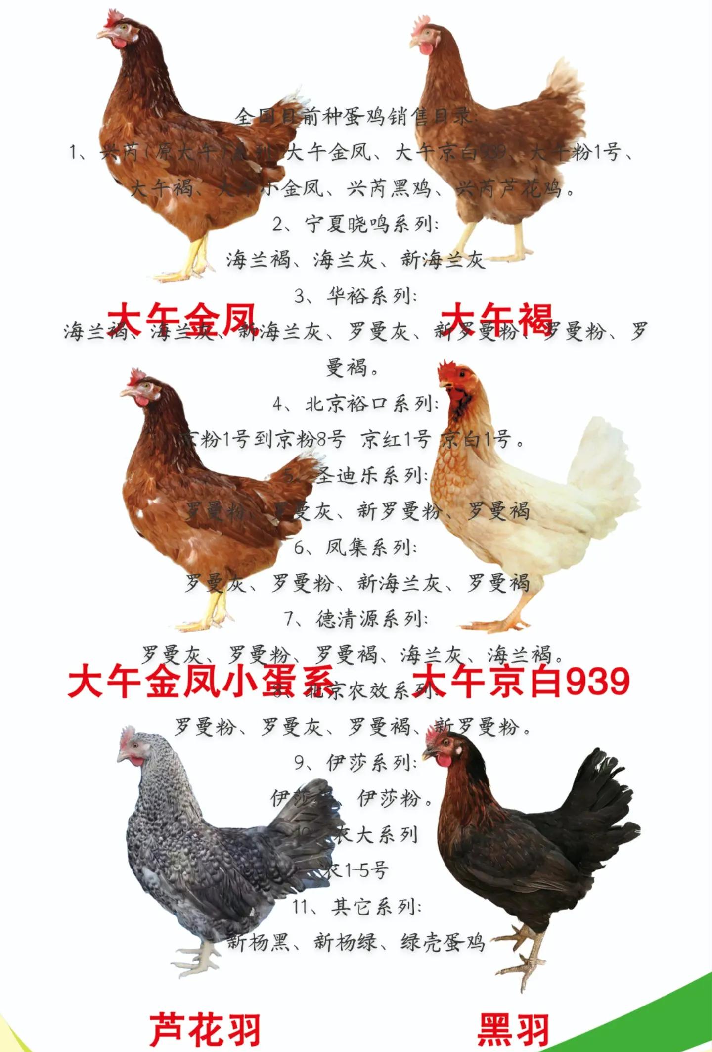 丑雨泽