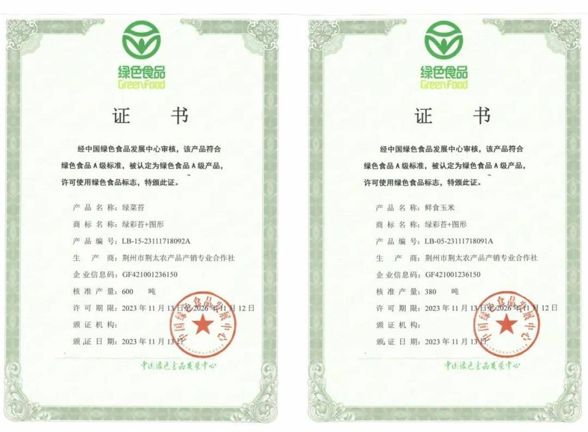 中国绿色产品认证证书是什么意思?申报条件是什么?视频
