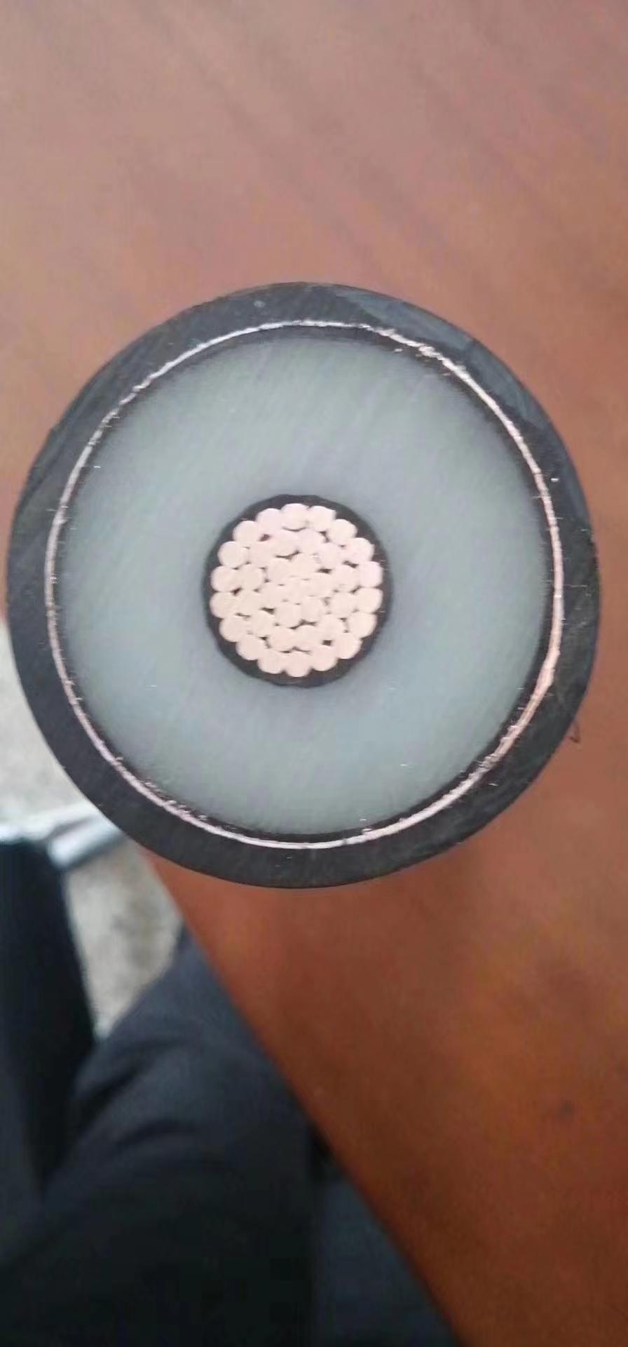 电力电缆BPFFP耐高温变频电缆天联BPFFP