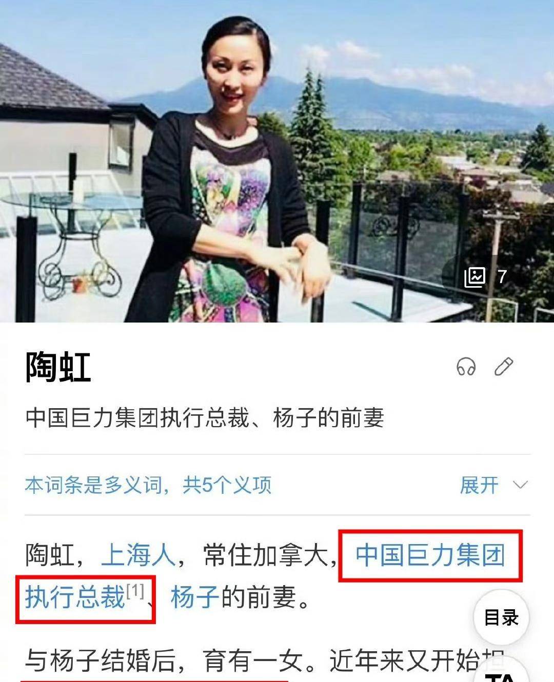 中国巨力集团