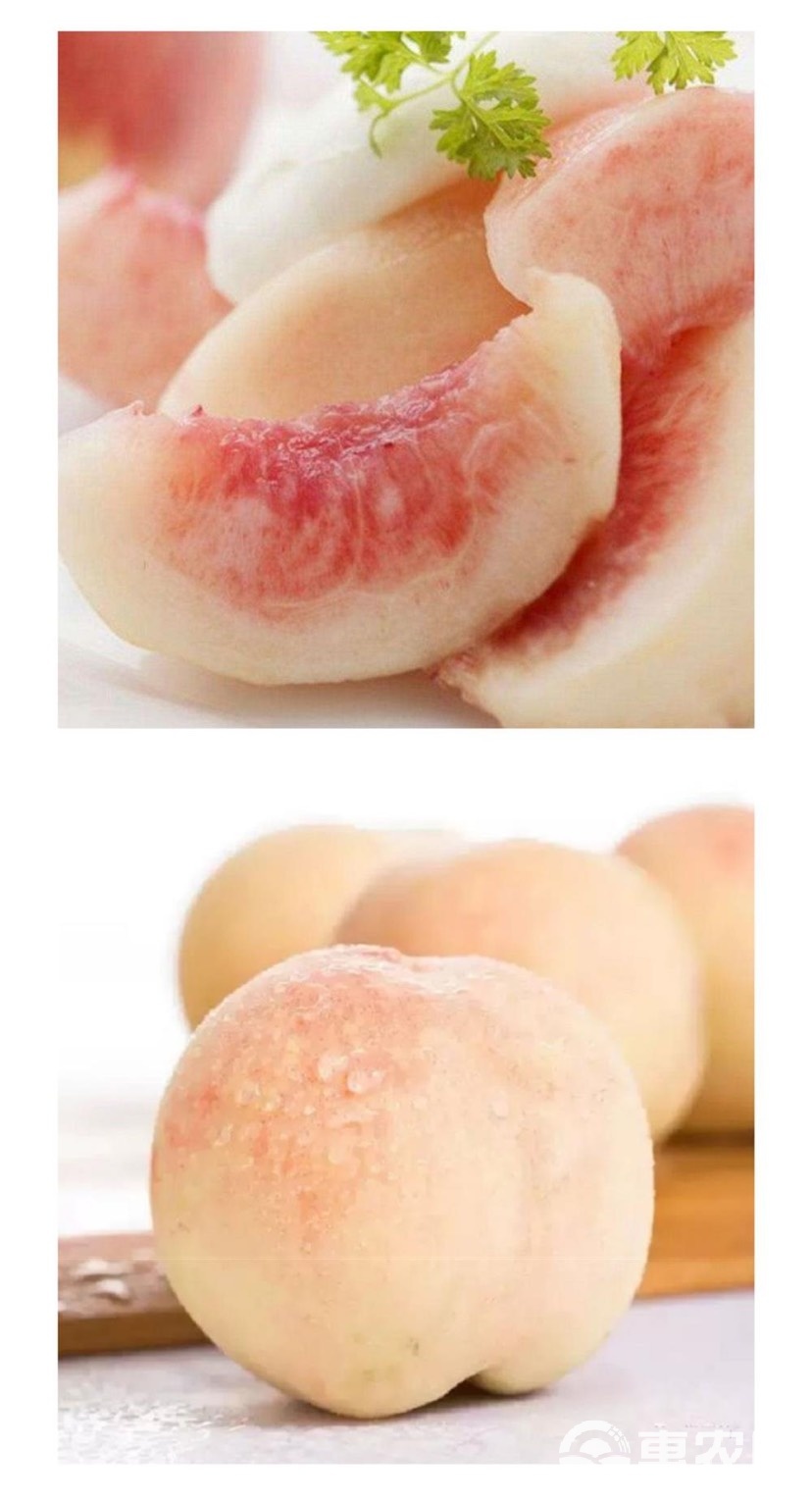 新鲜蜜桃新鲜水果产地直销蜜桃,精品蜜桃,口味