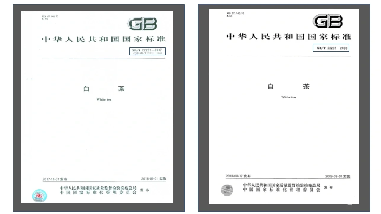 国标标准:GB/T2818《井用潜水异步电动机》测试视频