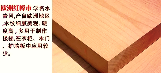 欧洲榉木和橡木怎么辨认我家房子要装修做楼梯哪个更好