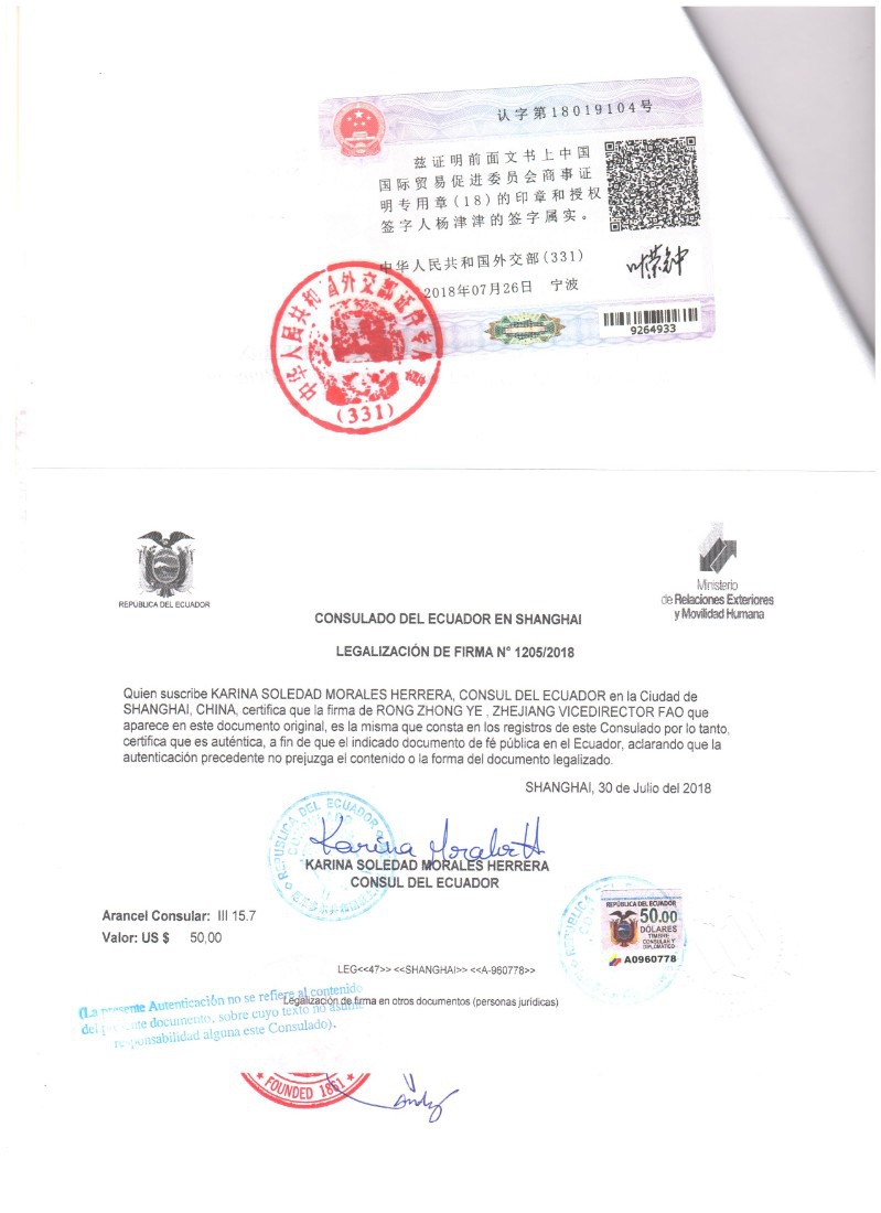 厄瓜多尔驻华大使馆认证领事加签流程/资料视频