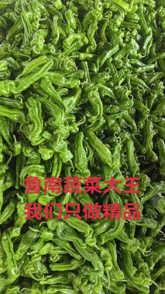 苍山县鲁南蔬菜批发市场:蔬菜,水果批发,加工,销售