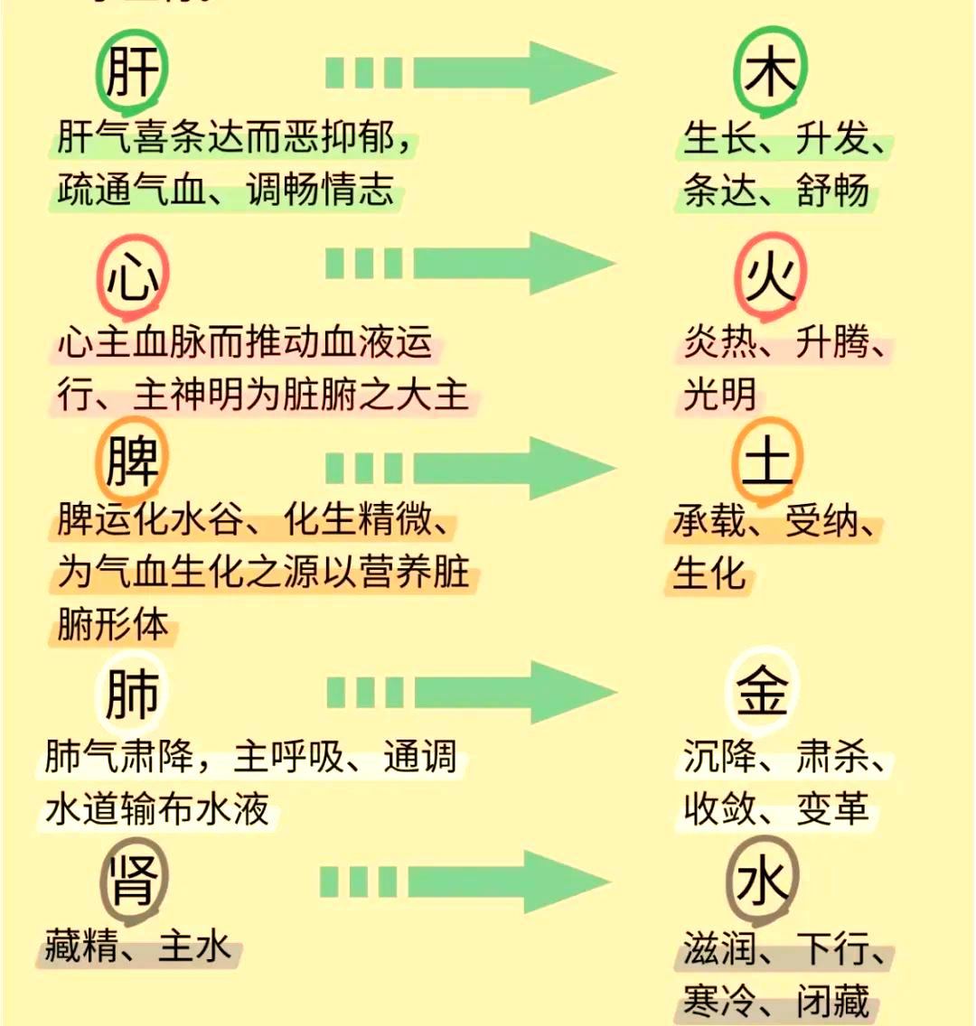 五行数字被广泛运用于哲学、中医学、占卜等领域