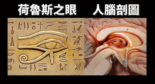 全球发售GBEC全脑开发智慧机(激活松果体,开发ESP能力)