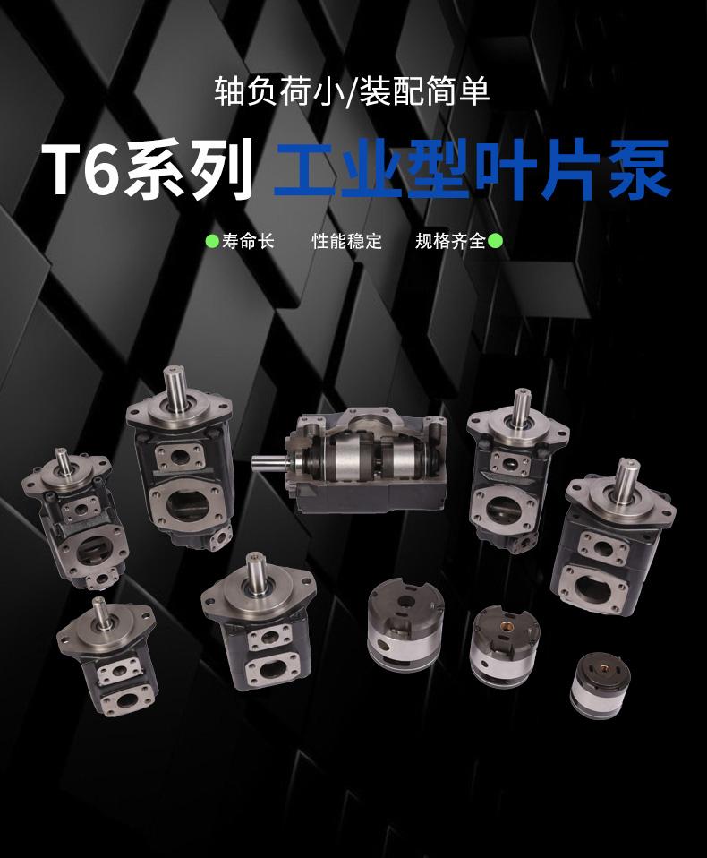 DENISON丹尼逊T6E-85-1900-1A1M派克双联油泵T6CT6D叶片泵