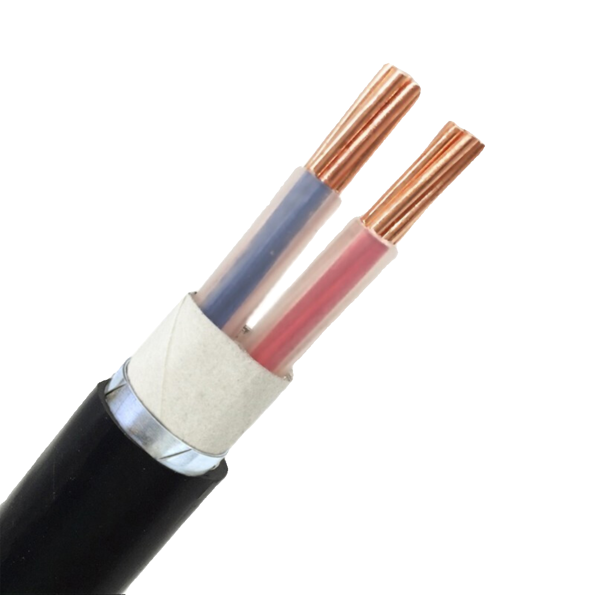 电力电缆WDZA-RYY-0.6/1KV-1*10